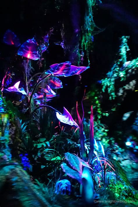 10 Reasons to Visit Pandora - The World of Avatar | Avatar world ...