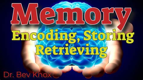 What is encoding in memory - fervillage