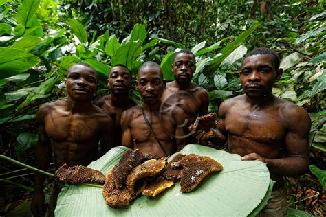 Rare Tribe in Congo That Eats Poisonous Snakes - See Africa Today