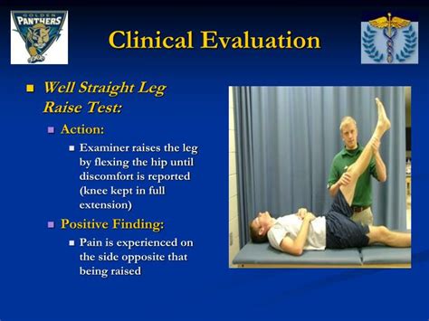 PPT - Thoracic and Lumbar Spine Special Tests and Pathologies PowerPoint Presentation - ID:1288385