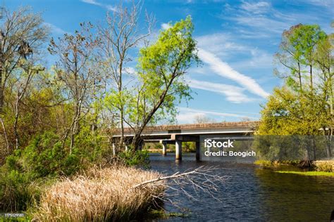 Bridge Over Manchac Swamp Louisiana Bayou Wetland Landscape Stock Photo - Download Image Now ...