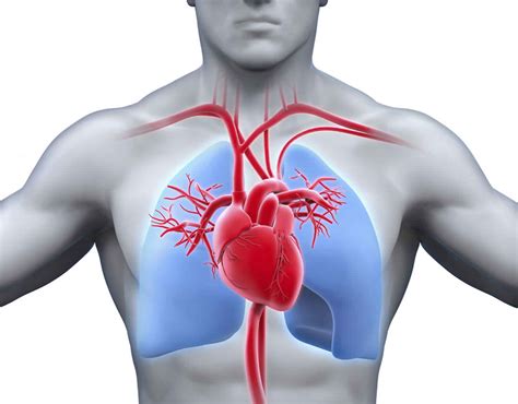 Cardiopulmonary disease causes, symptoms, diagnosis, treatment & rehabilitation