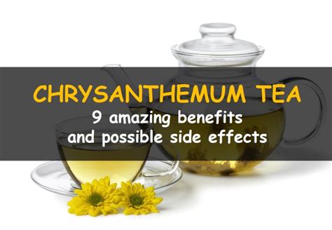 Benefits of Chrysanthemum Tea and possible side effects