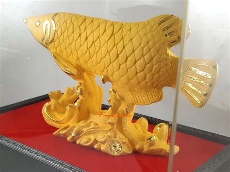 Exquisite Wealth-Inviting Golden Arowana :: Feng Shui for Wealth