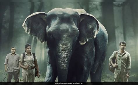 Poacher Review: Powerful Wildlife Crime Thriller Co-Produced By Alia Bhatt - Ericatement