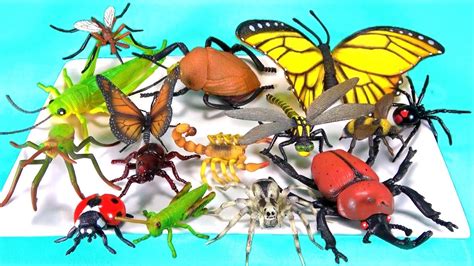 Insects Names for Kids Learn Colors Bugs Toy Videos For Children Teaching Baby Toddler ...