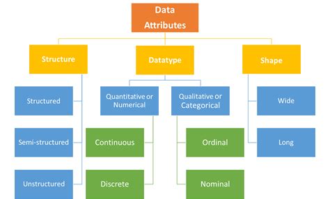 Data Literacy Essentials: Representing, Processing, and Preparing Data