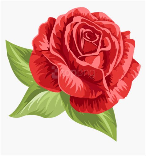 Vintage Rose Png - Vintage Rose Illustration Roses, Transparent Png ...