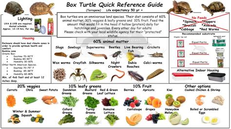 Box Turtle Quick Reference Guide/-/ReptileApartment.com