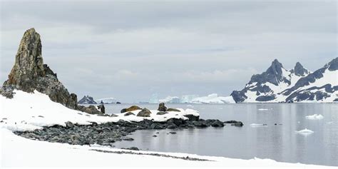 Half Moon Island (Antarctica, South Shetlands) cruise port schedule | CruiseMapper