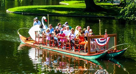 Boston Swan Boats - Top Attraction - Boston Discovery Guide