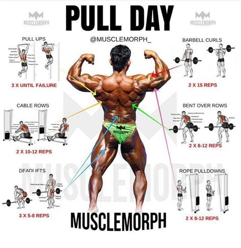 pull day exercises