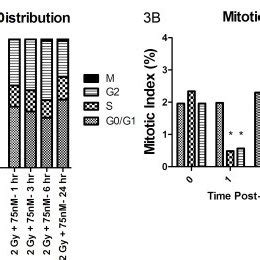 Cell cycle distribution and mitotic index after irradiation is not... | Download Scientific Diagram