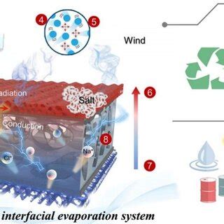 Schematic illustration of multifunctional evaporation system for... | Download Scientific Diagram