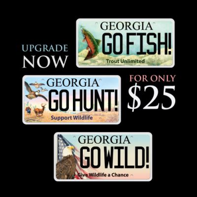 Buy or Renew a Wildlife License Plate | Wildlife Resources Division