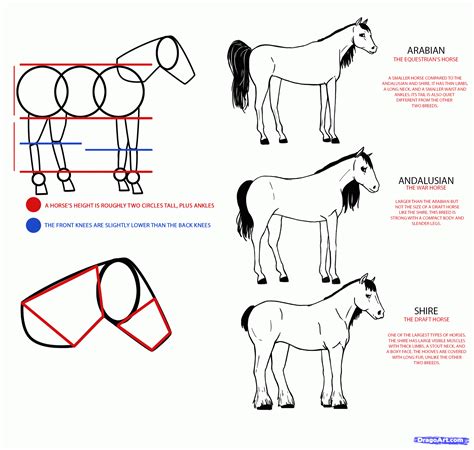 How to Draw Anime Horses, Step by Step, Pets, Animals, FREE Online ...