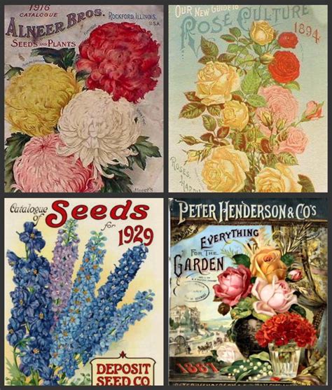 LizlovesVintage: Vintage Seed Packets