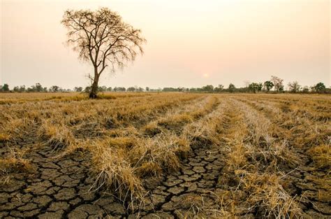 How Long Does It Take For A Water Well To Refill? (Explained)