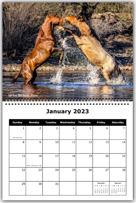 2023 Horse Calendar Wild Horses Wall Calendar Horses Running - Etsy