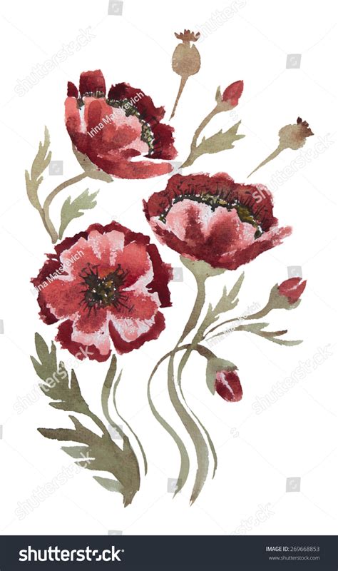 Flowers On White Background Watercolor Chinese Stock Illustration ...