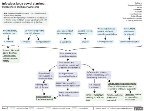 Infectious Large Bowel Diarrhea | Calgary Guide