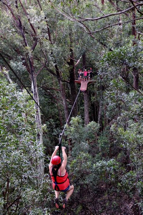 Soar through Upcountry Maui with two types of zipline tours | Hawaii ...