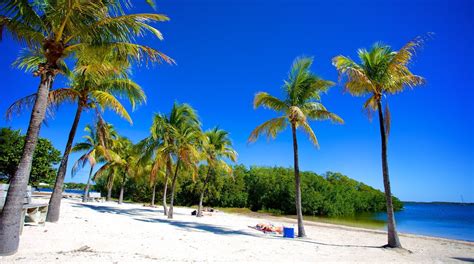 John Pennekamp Coral Reef State Park in United States of America | Expedia