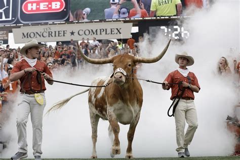 PETA calls for end to live mascots after Bevo-Uga incident at Sugar Bowl | News | nola.com