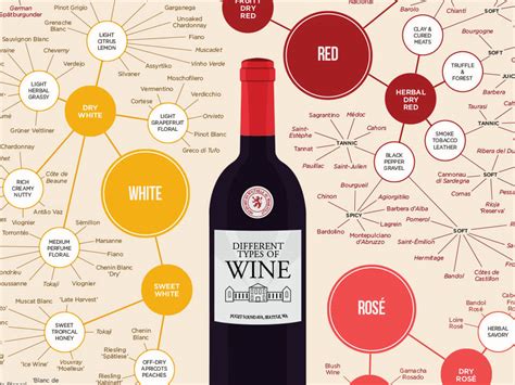 The Different Types of Wine (Infographic) | Wine Folly