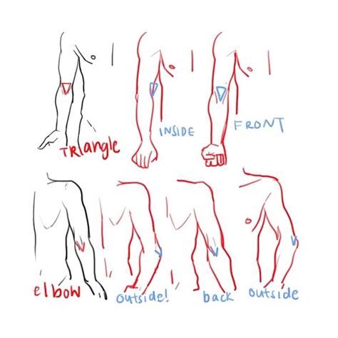 How To Draw A Elbow