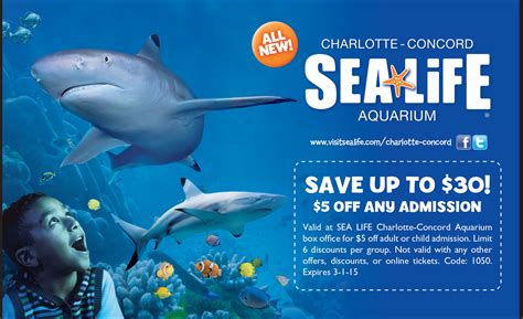 Check out the Charlotte - Concord Sea Life Aquarium | Community Savings Magazines