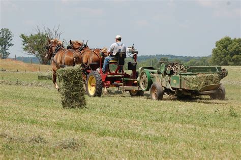 Horse Drawn Farming Equipment Market to Surpass US$ 7.66 Billion by ...