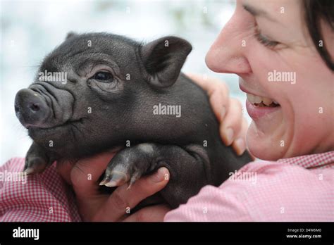 Tina keeper hi-res stock photography and images - Alamy