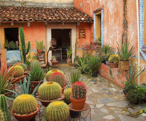 Cactus au Mexique. Mexique-Decouverte.com | Jardin mexicain, Beaux ...