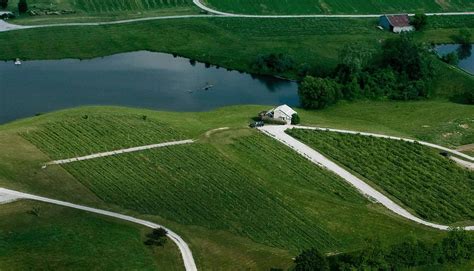 Contact - Kite Hill Vineyards