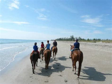 Beach horseback riding in Florida: Where to go