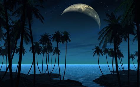 Beach Moon Night wallpaper | 2560x1600 | #29176