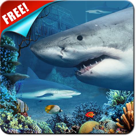 Download Shark Reef Live Wallpaper Free | Baixaki