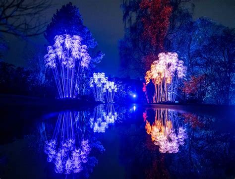 Christmas At The Botanics 2023: A Festive Light Trail - Secret Edinburgh