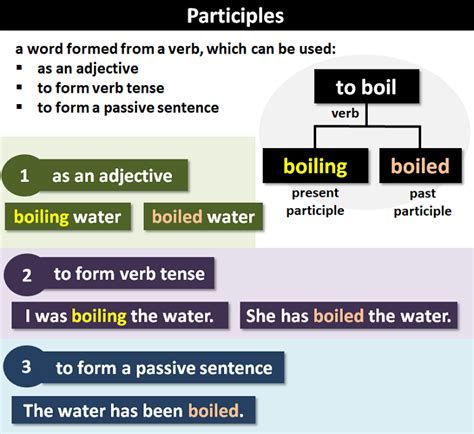 Participle: Definition and Examples