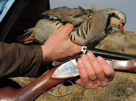 Chukar hunting in Oregon | Outdoors | bendbulletin.com