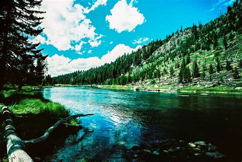 EMULSIVE ~ film.photography — Madison river bend - Shot on Agfa Precisa CT 100...