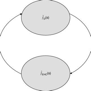 (PDF) Enterohepatic circulation: Physiological, pharmacokinetic and clinical implications