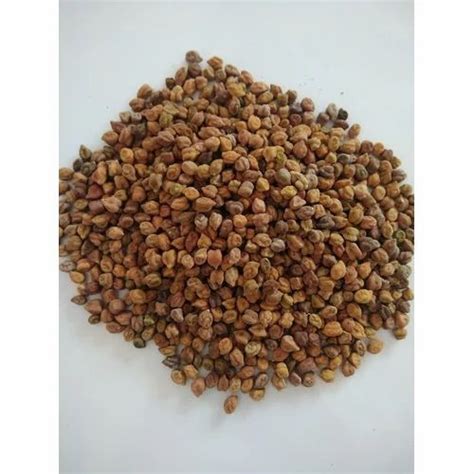 Whole Gram Seeds, For Cooking at Rs 60/kilogram in Kota | ID: 16662899188