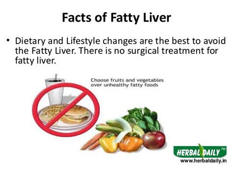 Best Fatty Liver Diet - dialinter