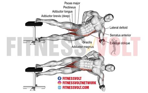 Side Plank Hip Adduction: Strengthen Your Glutes and Core – Fitness Volt