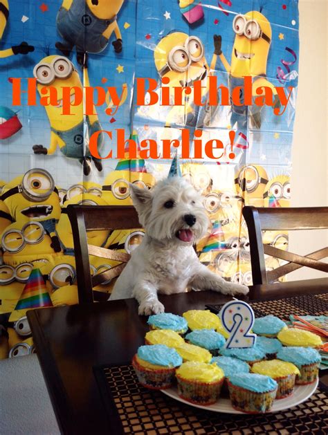 Happy Birthday Charlie!!! | Happy birthday, Birthday, Happy