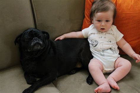 Pug Shirt Pug Baby My Best Friend Dog Baby Announcement