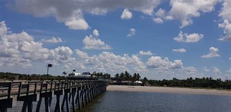 Venice Fishing Pier - 2020 All You Need to Know BEFORE You Go (with Photos) - Tripadvisor