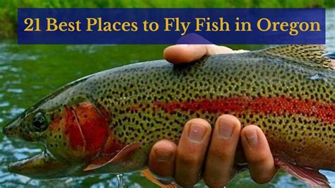 21 Places to Fly Fish in Oregon: MAPS INCLUDED - Guide Recommended